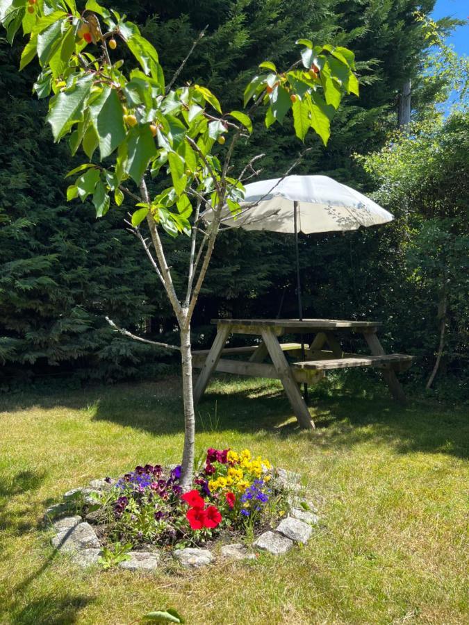 New Forest Hideaway- Self Catering Accommodation Newbridge  Екстер'єр фото